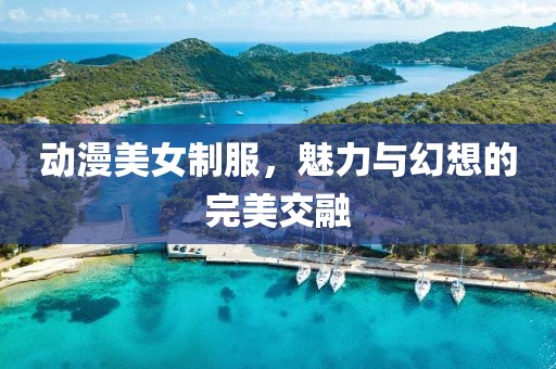 动漫美女制服，魅力与幻想的完美交融