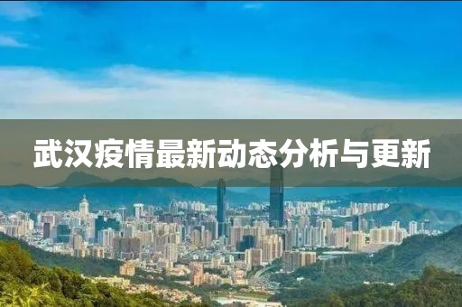 武汉疫情最新动态分析与更新