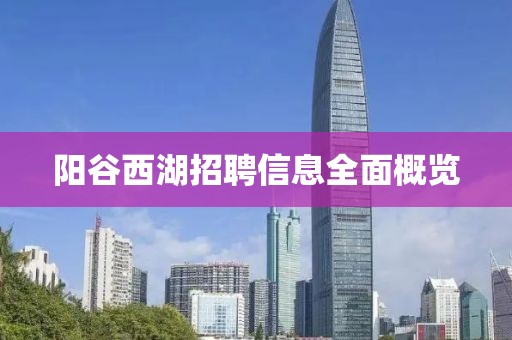 阳谷西湖招聘信息全面概览