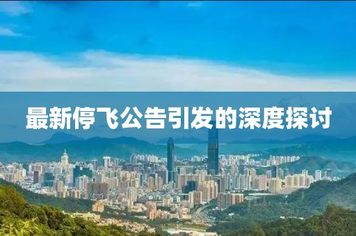 最新停飞公告引发的深度探讨