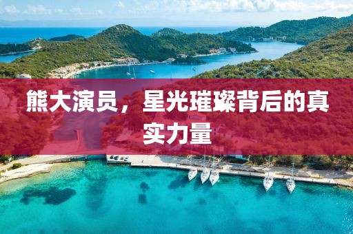 熊大演员，星光璀璨背后的真实力量