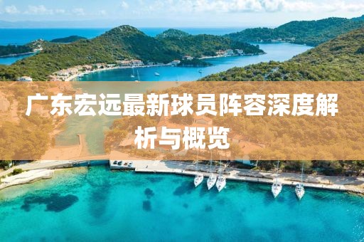 广东宏远最新球员阵容深度解析与概览