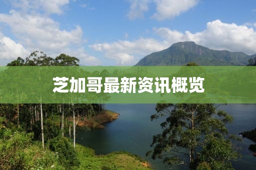 芝加哥最新资讯概览