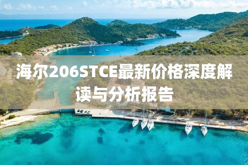 海尔206STCE最新价格深度解读与分析报告