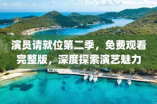 演员请就位第二季，免费观看完整版，深度探索演艺魅力
