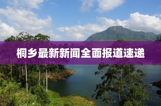 桐乡最新新闻全面报道速递