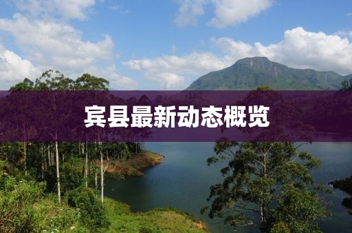 宾县最新动态概览