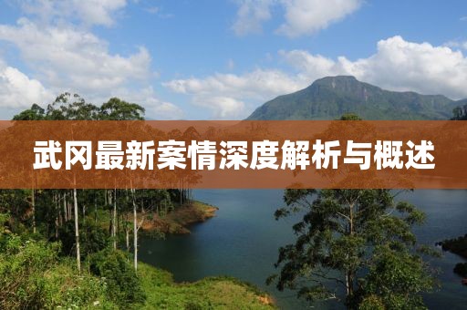 武冈最新案情深度解析与概述