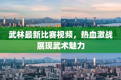武林最新比赛视频，热血激战展现武术魅力