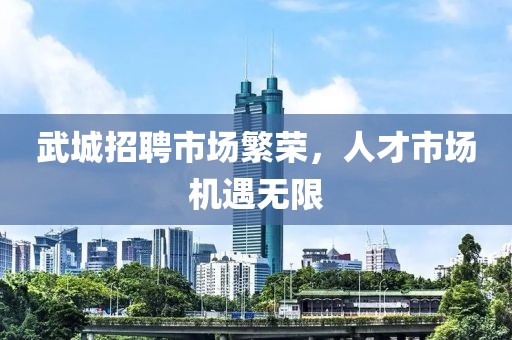 武城招聘市场繁荣，人才市场机遇无限