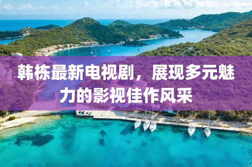 韩栋最新电视剧，展现多元魅力的影视佳作风采