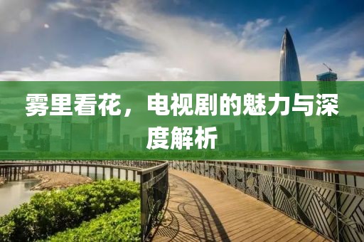 雾里看花，电视剧的魅力与深度解析