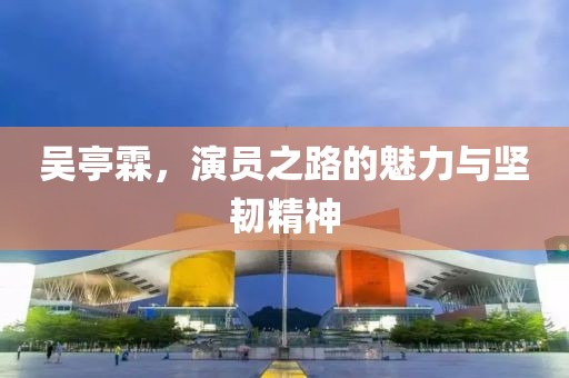 吴亭霖，演员之路的魅力与坚韧精神