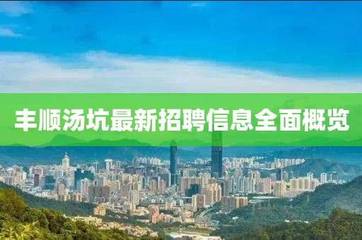 丰顺汤坑最新招聘信息全面概览