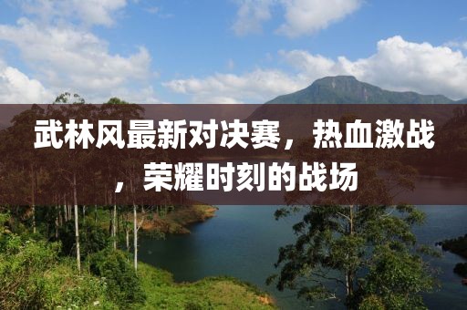 武林风最新对决赛，热血激战，荣耀时刻的战场