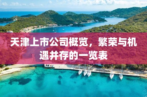 天津上市公司概览，繁荣与机遇并存的一览表