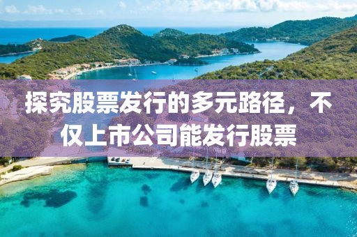 探究股票发行的多元路径，不仅上市公司能发行股票
