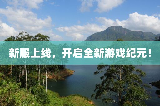 新服上线，开启全新游戏纪元！
