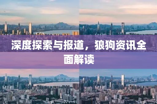 深度探索与报道，狼狗资讯全面解读