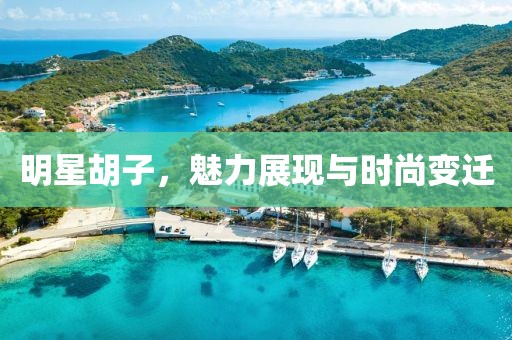 明星胡子，魅力展现与时尚变迁
