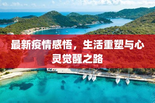 最新疫情感悟，生活重塑与心灵觉醒之路