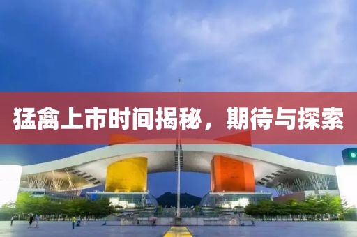 猛禽上市时间揭秘，期待与探索