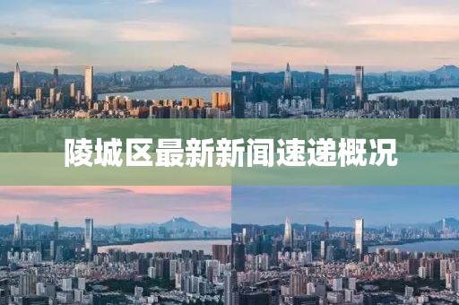 陵城区最新新闻速递概况
