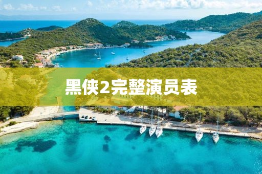 黑侠2完整演员表