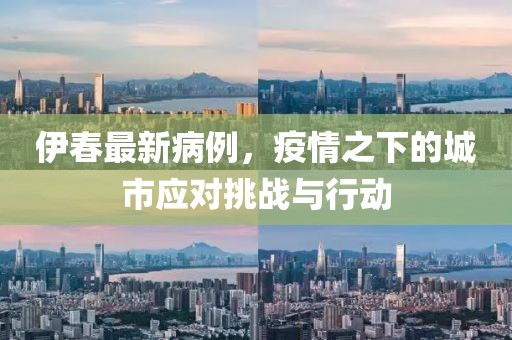 伊春最新病例，疫情之下的城市应对挑战与行动