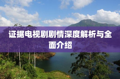证据电视剧剧情深度解析与全面介绍