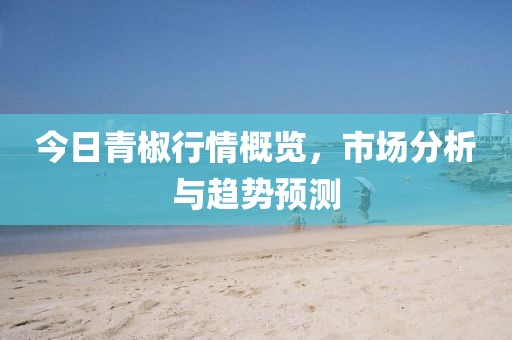 今日青椒行情概览，市场分析与趋势预测