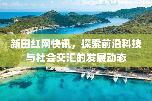 新田红网快讯，探索前沿科技与社会交汇的发展动态