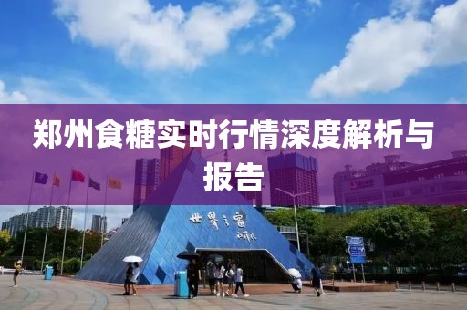 郑州食糖实时行情深度解析与报告