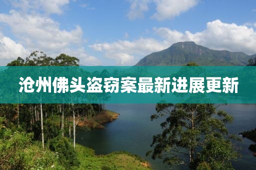 沧州佛头盗窃案最新进展更新