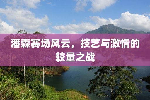 潘森赛场风云，技艺与激情的较量之战
