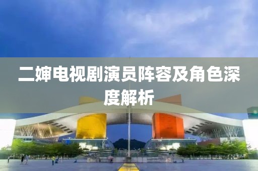 二婶电视剧演员阵容及角色深度解析