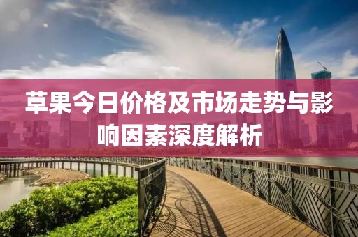 草果今日价格及市场走势与影响因素深度解析