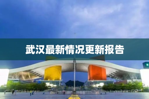 武汉最新情况更新报告