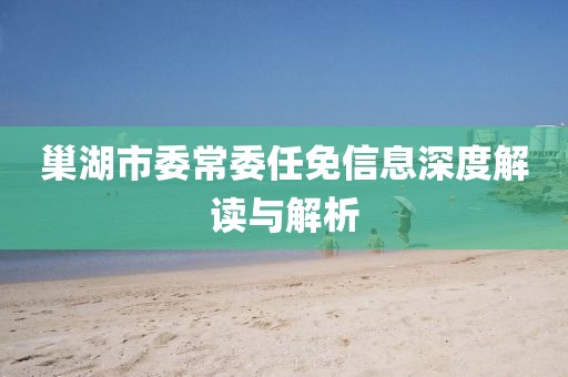 巢湖市委常委任免信息深度解读与解析