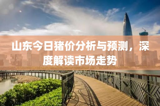 山东今日猪价分析与预测，深度解读市场走势