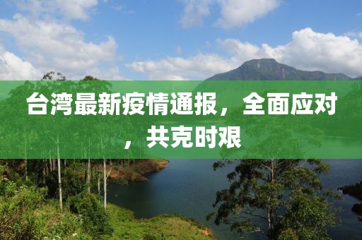 台湾最新疫情通报，全面应对，共克时艰