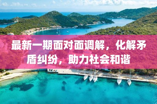 最新一期面对面调解，化解矛盾纠纷，助力社会和谐