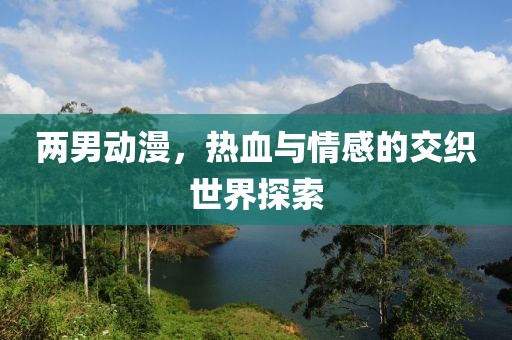 两男动漫，热血与情感的交织世界探索