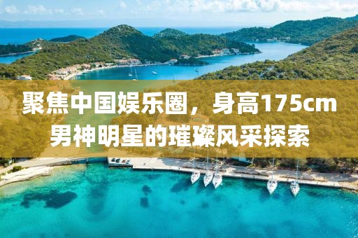 聚焦中国娱乐圈，身高175cm男神明星的璀璨风采探索