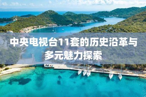 中央电视台11套的历史沿革与多元魅力探索