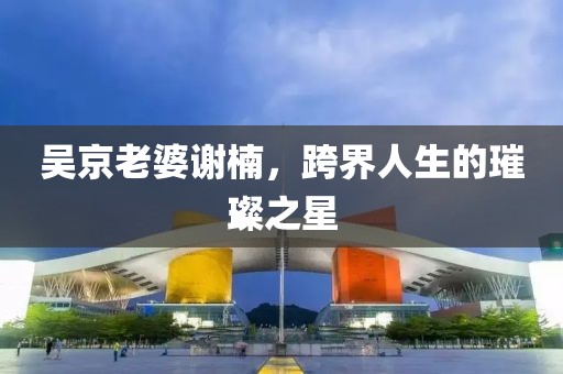 吴京老婆谢楠，跨界人生的璀璨之星