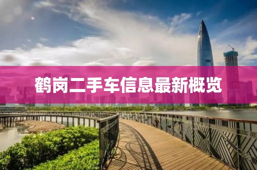 鹤岗二手车信息最新概览