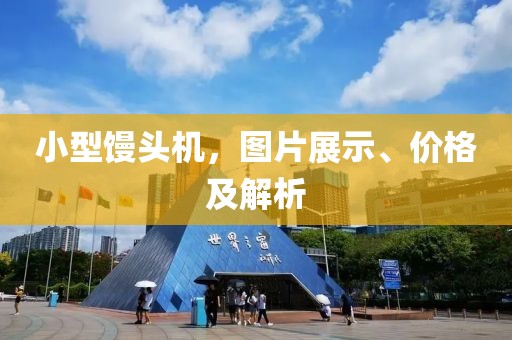 小型馒头机，图片展示、价格及解析