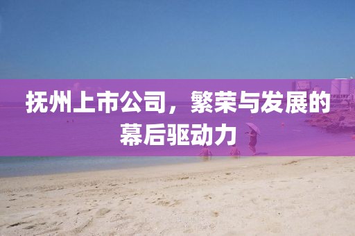 抚州上市公司，繁荣与发展的幕后驱动力