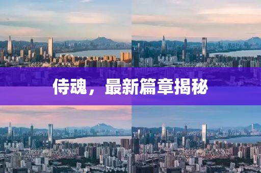 计算机软硬件 第740页